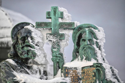 Zimní strážci Beskyd