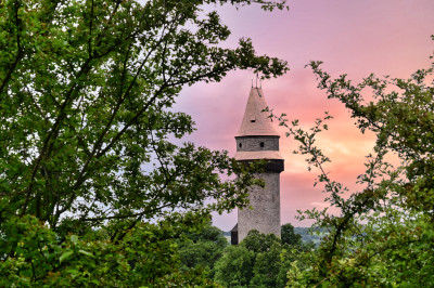 Trúba v růžovém rouchu